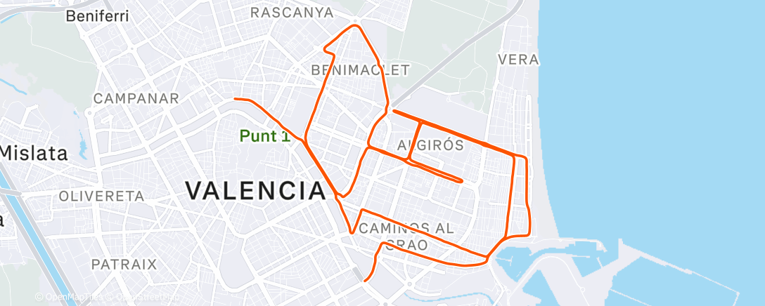 Map of the activity, Marathon de Valence 2025 🇪🇸 ❌️