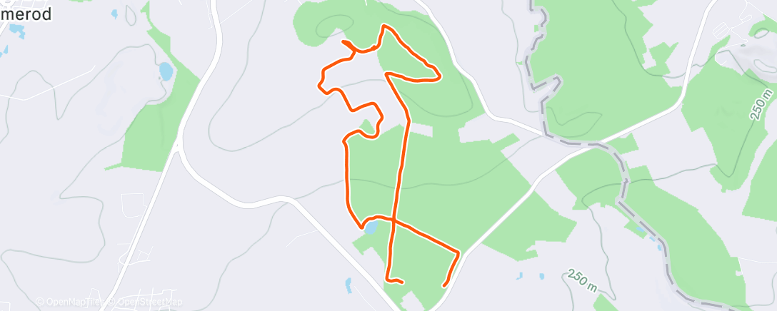 Map of the activity, Mittagspaziergang