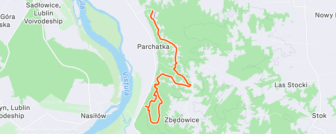 Карта физической активности (Lunch Run)