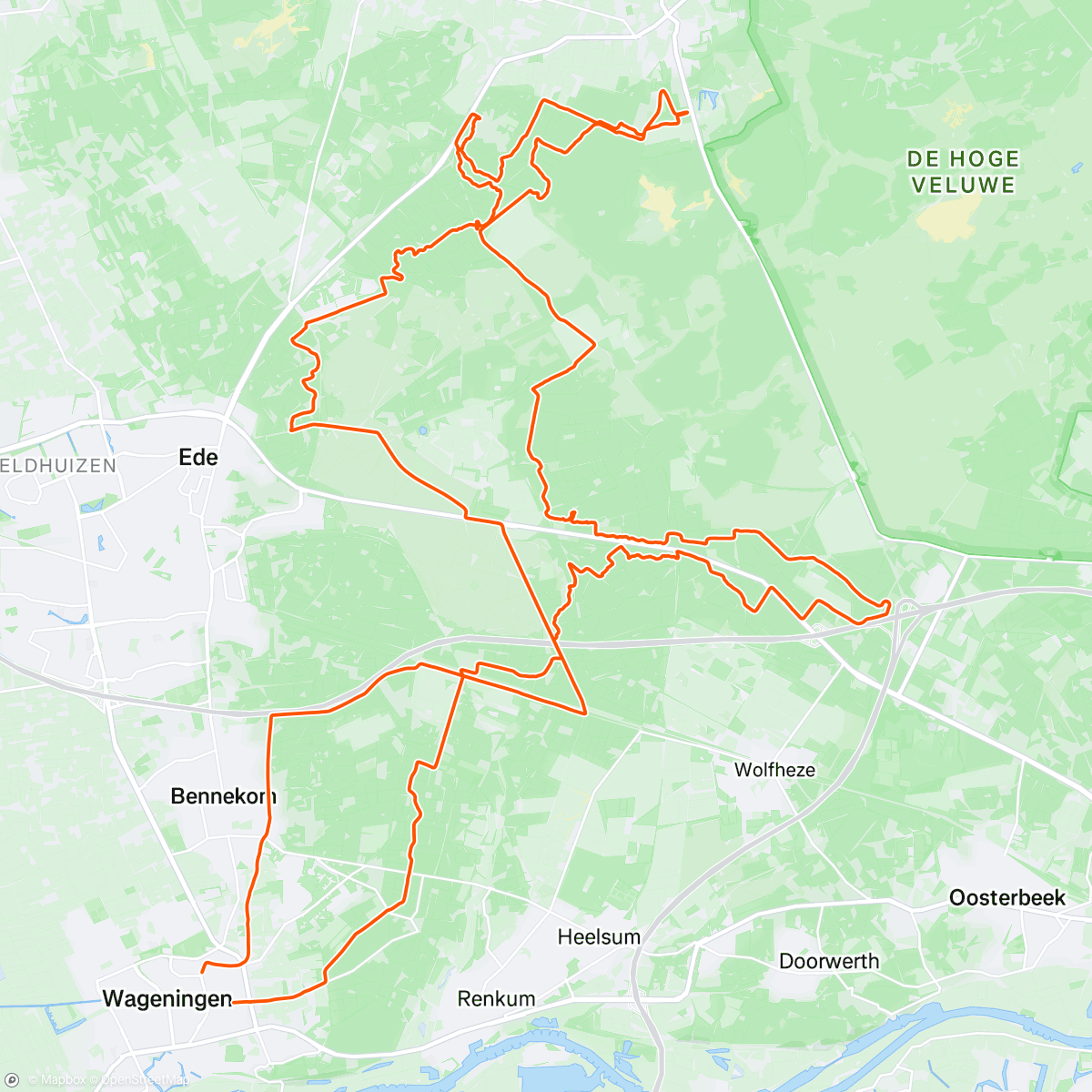 Map of the activity, Evening ride in the forest with Sjoerd