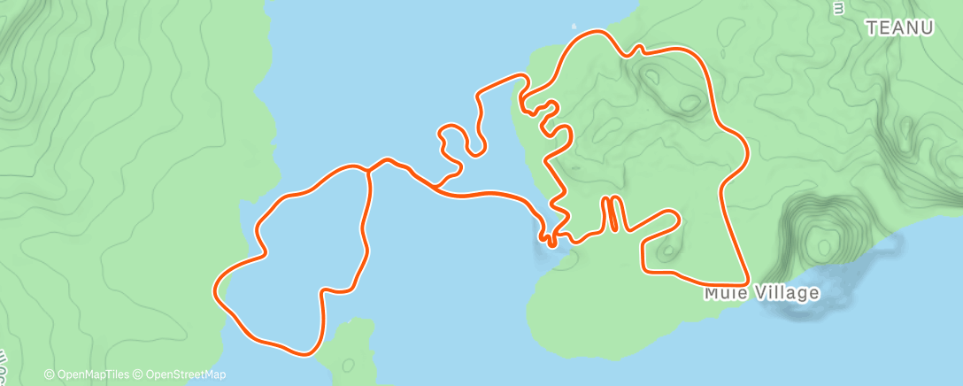 Карта физической активности (Zwift - Jarvis Seaside Sprint in Watopia)