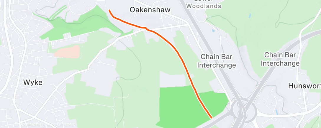 Карта физической активности (Morning run)