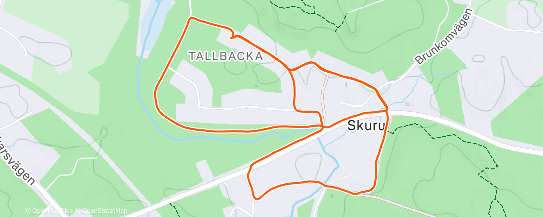 Карта физической активности (Evening Run)