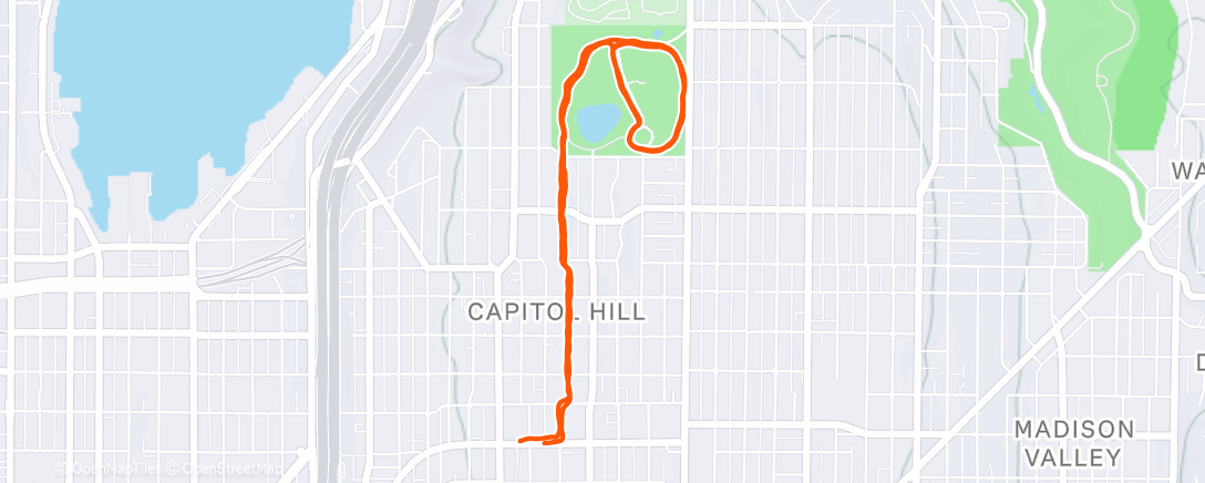 Map of the activity, Night Run