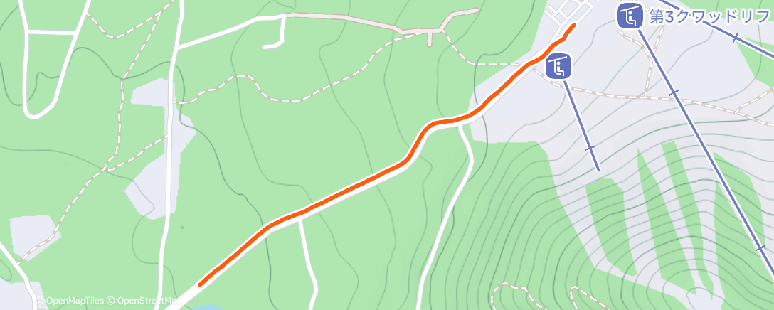 Карта физической активности (Afternoon Walk)