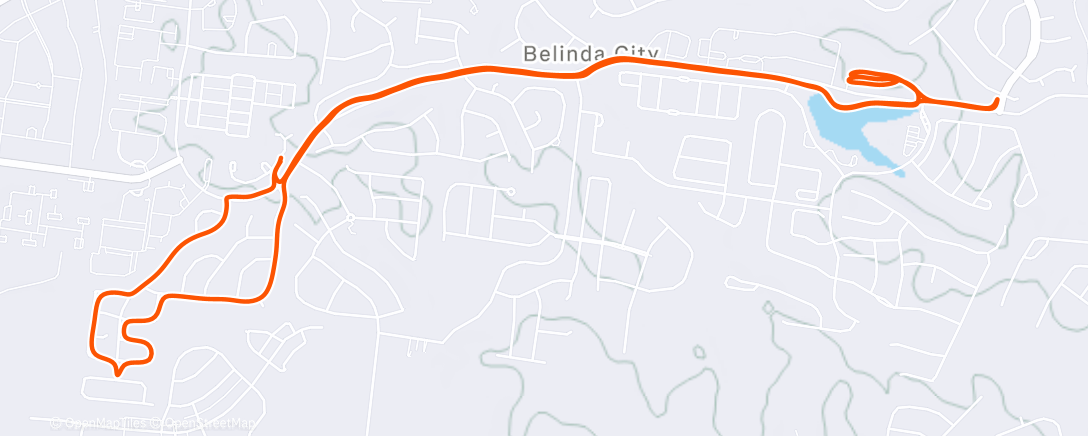 Карта физической активности (Z0)