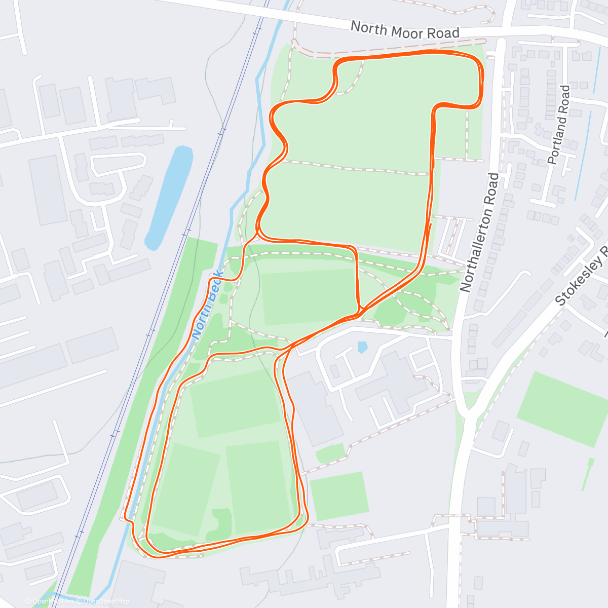 Карта физической активности (Morning Run)