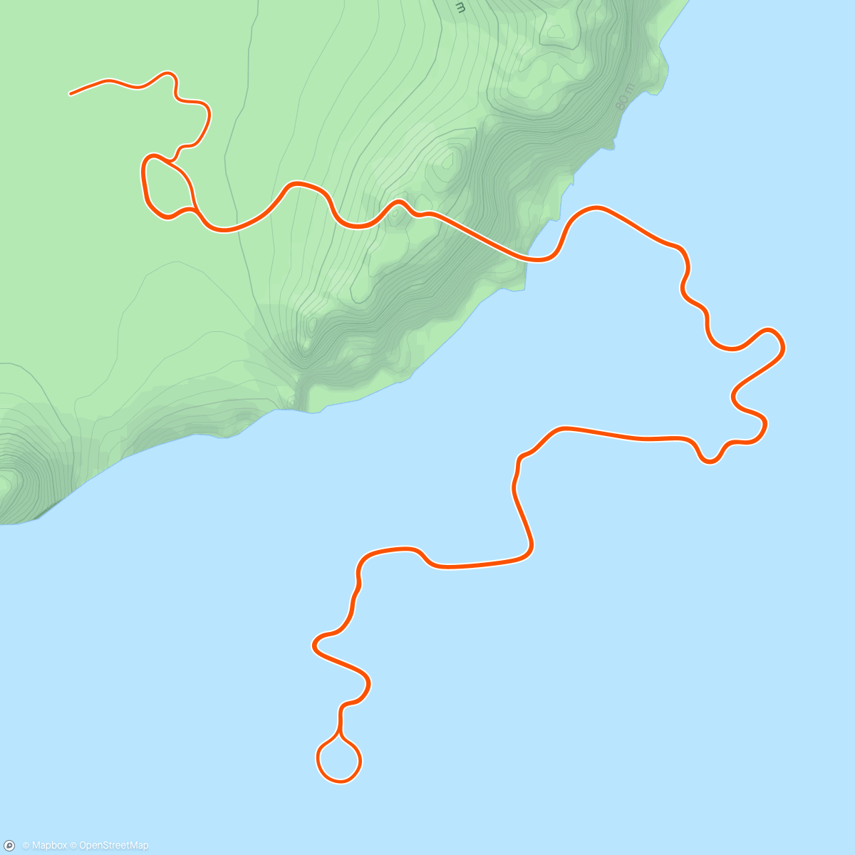 Map of the activity, Really happy with how the ankle handled that one. Power still a way down but zero pain.