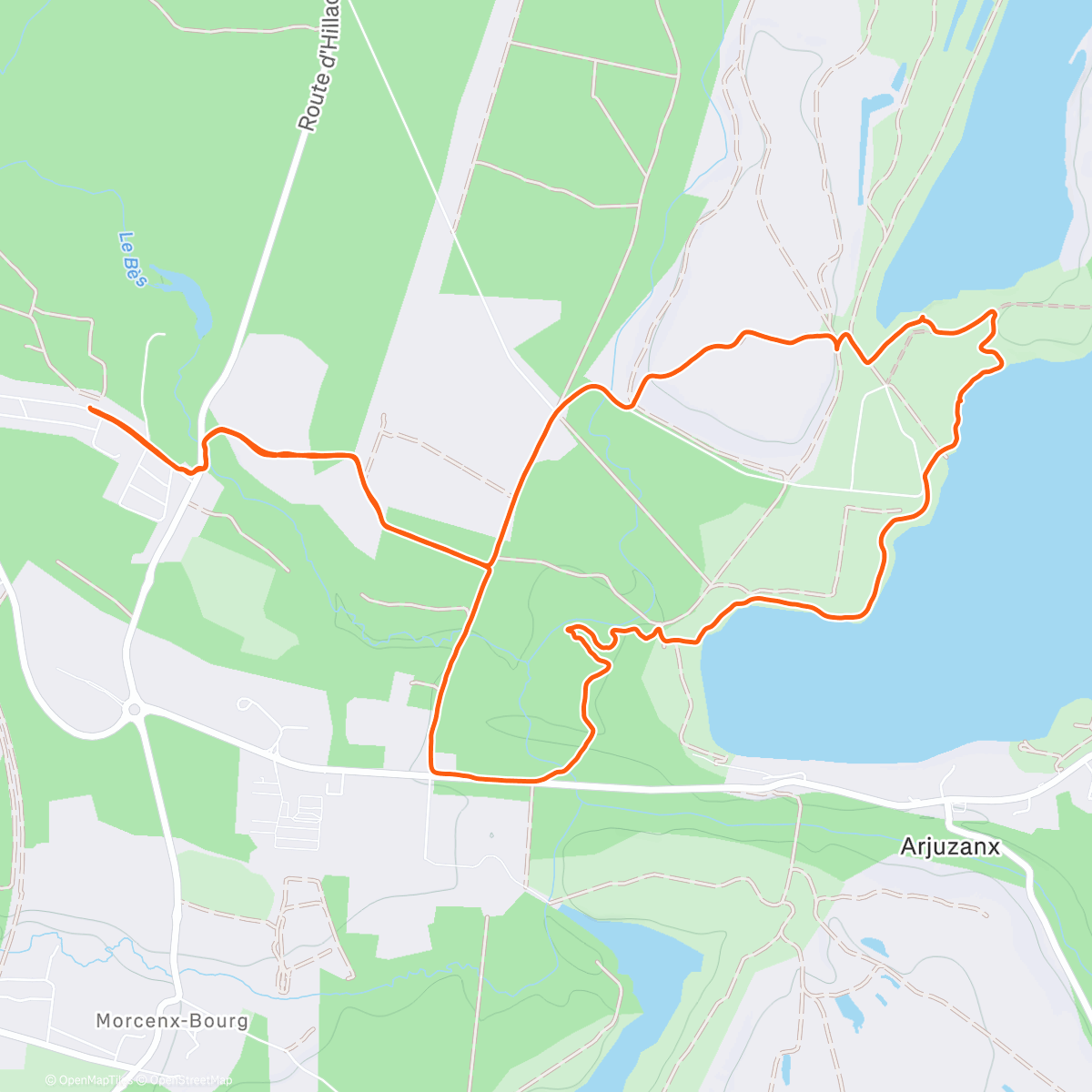 Карта физической активности (12 degrés ☀️)