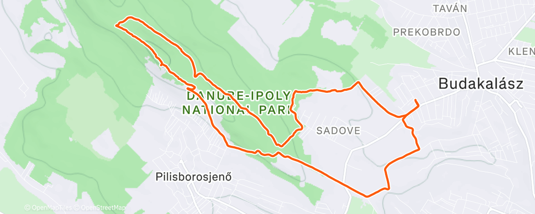 Map of the activity, Morning Trail Run