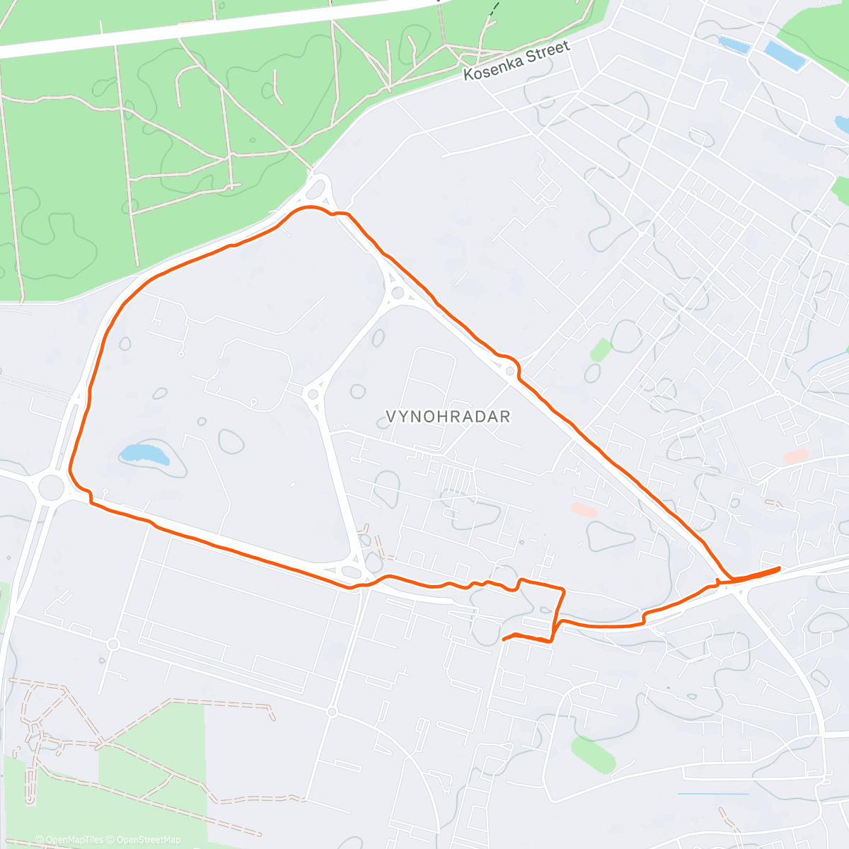 Карта физической активности (Утренний забег)