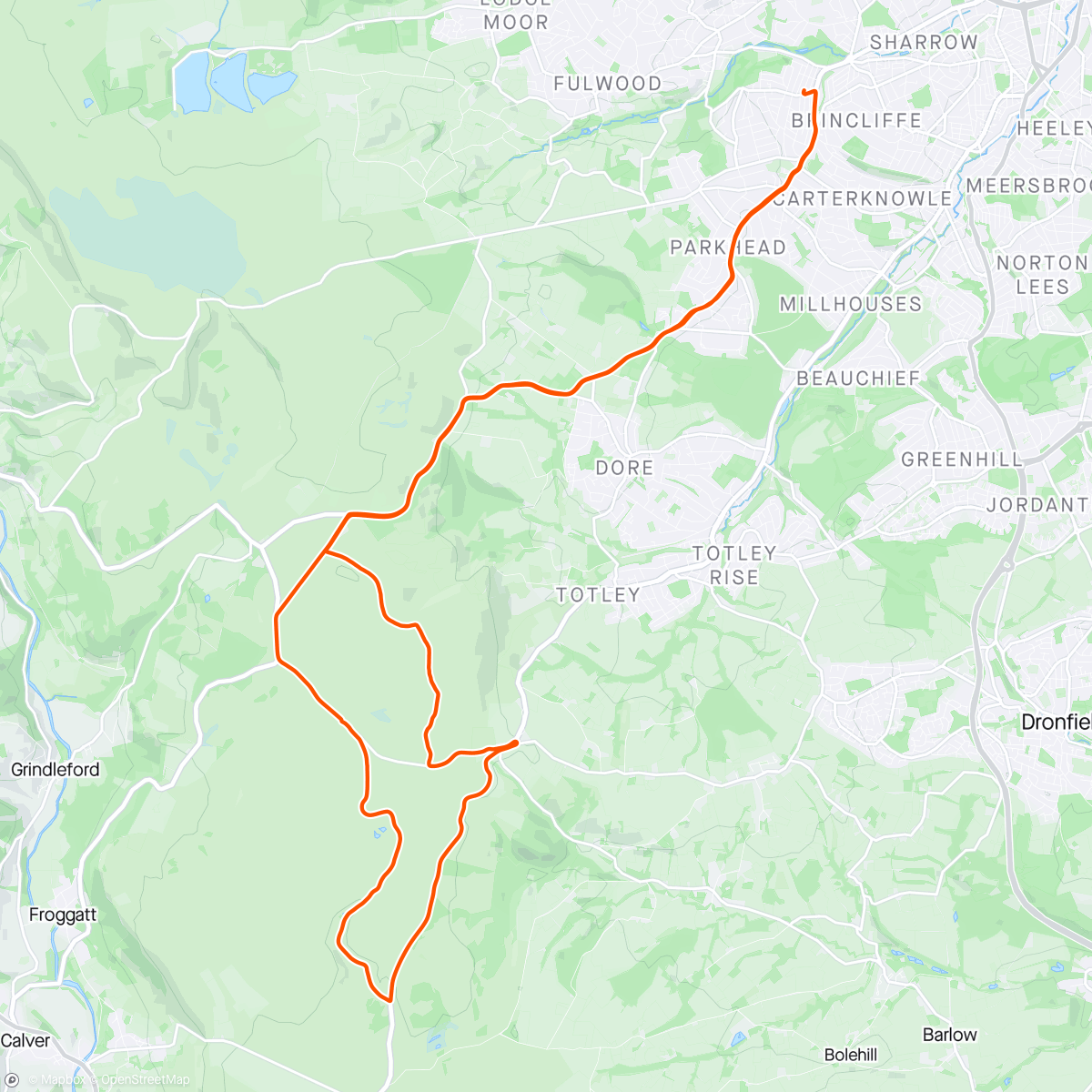 Map of the activity, Trails running quite firm in places.