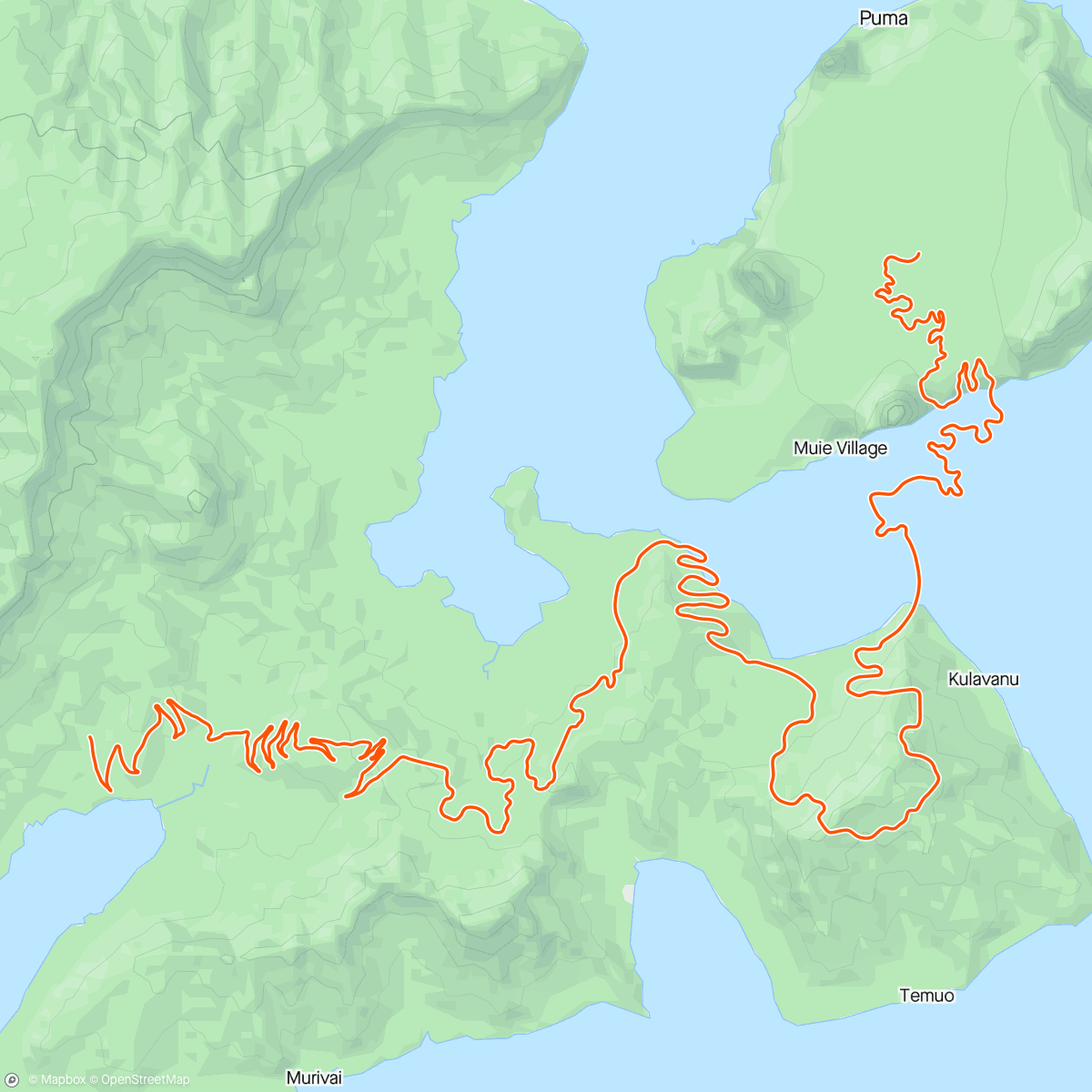Mapa da atividade, Zwift - Free Ride in Watopia