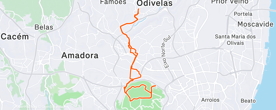 Map of the activity, SST