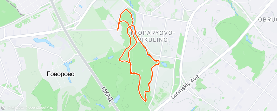 Map of the activity, Morning Run