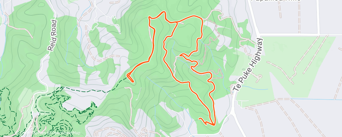 Map of the activity, Morning Trail Run
