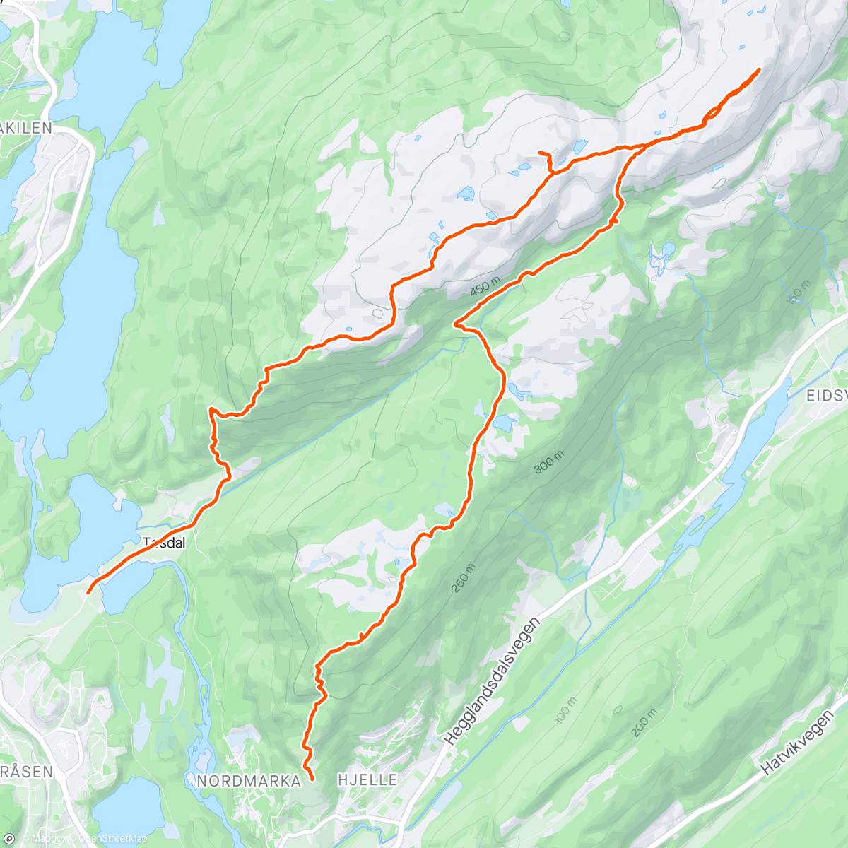 アクティビティ「Borgafjellet-Møsnukjen-Tøsdalsfjellet-Linken」の地図