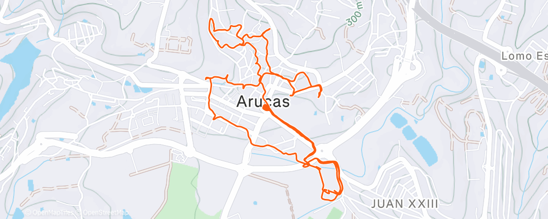 Карта физической активности (Sprint ja verkat)