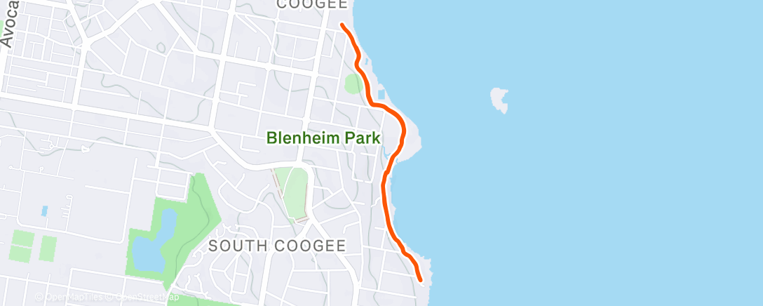 Map of the activity, Evening Run