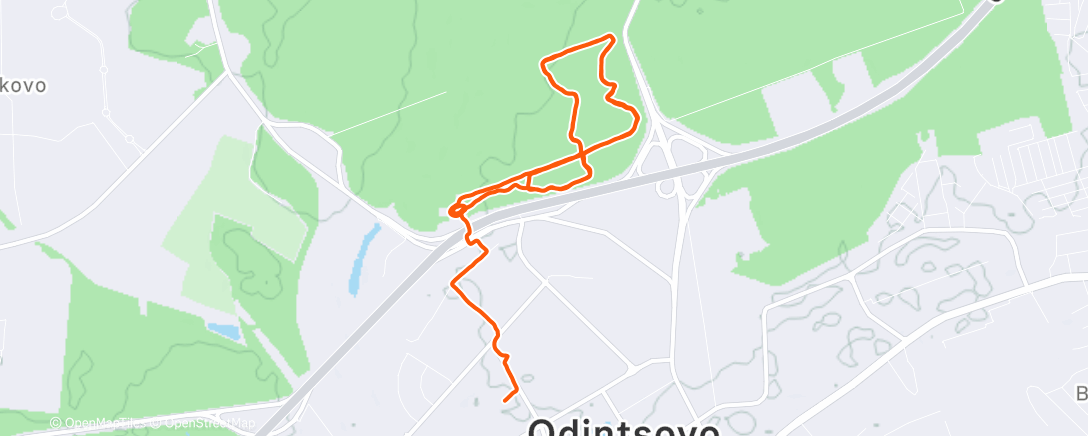 Карта физической активности (Трейлраннинг (утро))