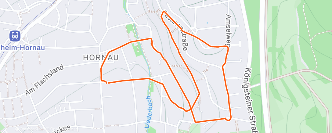 Карта физической активности (Spaziergang durch Hornau)
