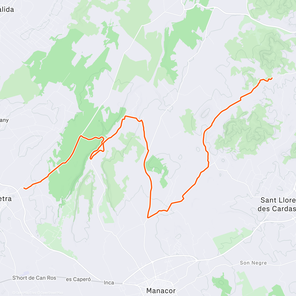 Карта физической активности (ROUVY - Base Ladder | Team Visma | Lease a Bike)
