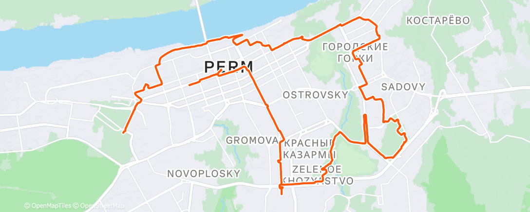 Карта физической активности (Ёлки от Руслана Гасимова)