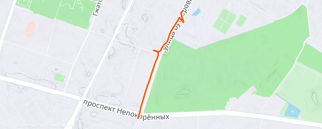 Map of the activity, Вечерний забег