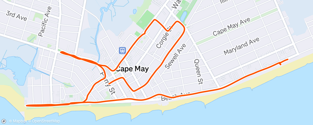 Map of the activity, Cape May
