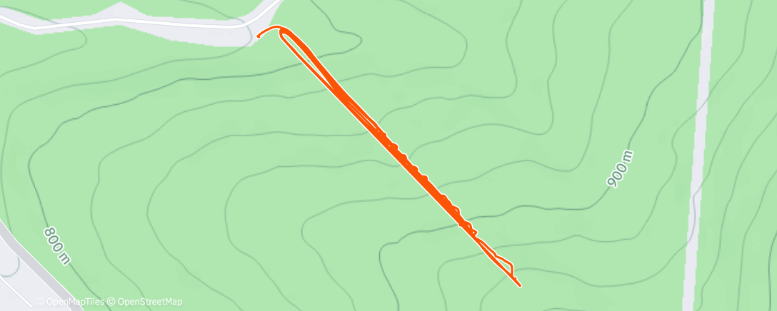 Карта физической активности (Заезд на горных лыжах (после обеда))