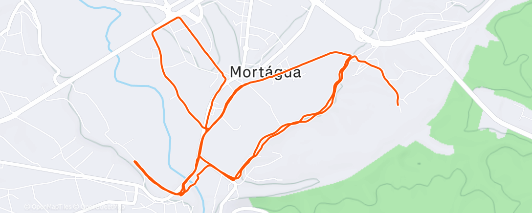 Карта физической активности (Morning Run)