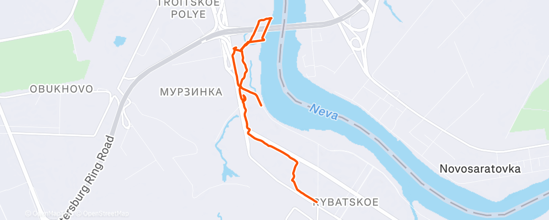 Карта физической активности (Evening Run)