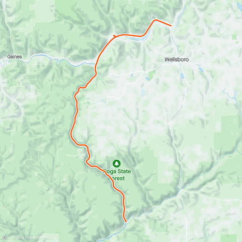 Pine Creek Challenge 100 K Course 97.3 km Running Route on Strava