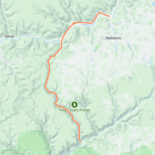 Pine Creek Challenge 100 K Course 97.3 km Running Route on Strava