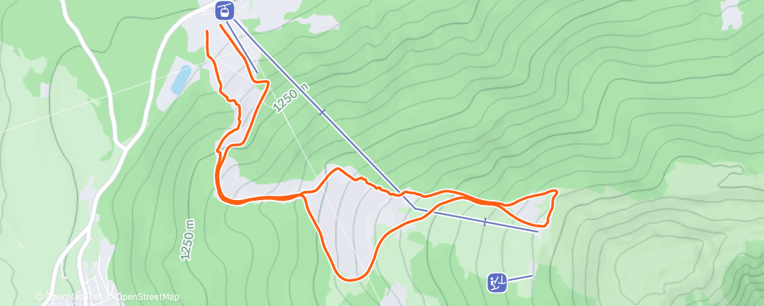 Карта физической активности (Pre-work Kofel)