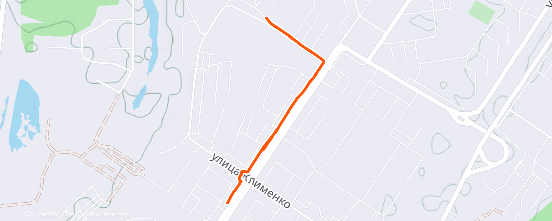 Карта физической активности (Дневной забег)