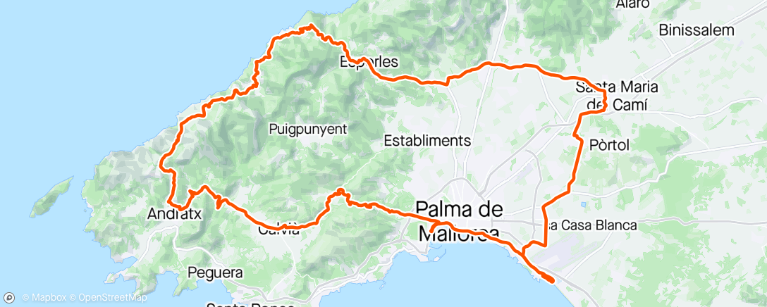 Map of the activity, Mallorca #7🤩