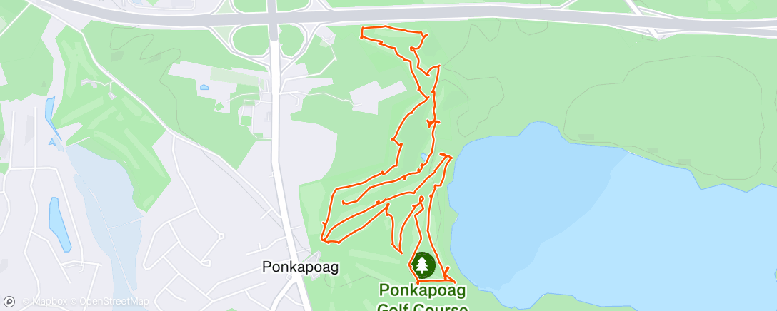 Map of the activity, Ponky #2 again