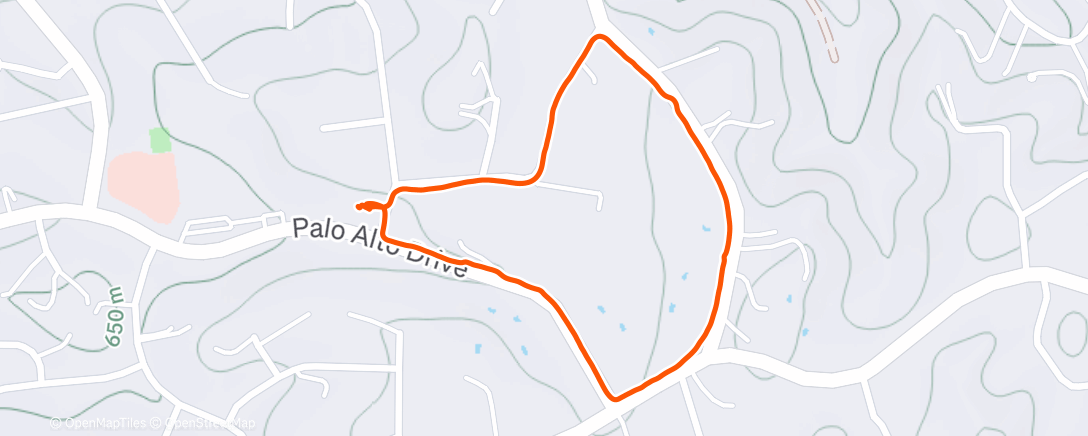 Карта физической активности (Riley dog loop after hot shower)