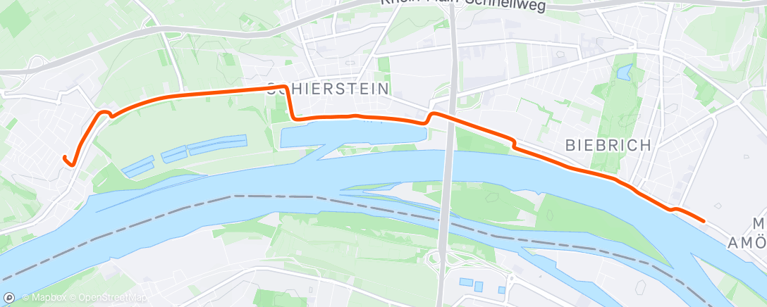 Map of the activity, Afternoon Ride