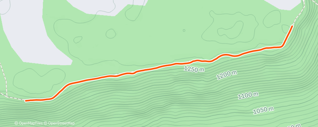 Карта физической активности (Afternoon Ride)