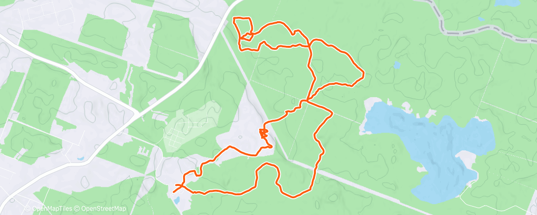 Карта физической активности (Полуденный забег)