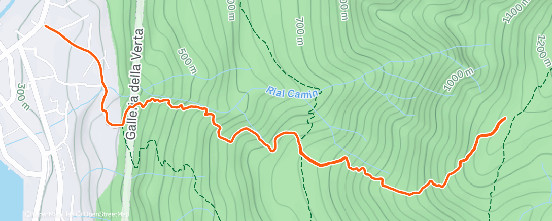Map of the activity, Morning Trail Run