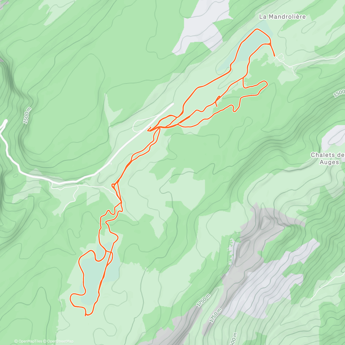 Карта физической активности (Skating ☀️)