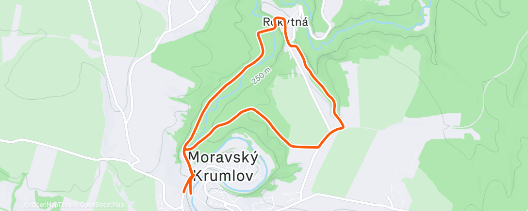 Карта физической активности (Afternoon Trail Run)