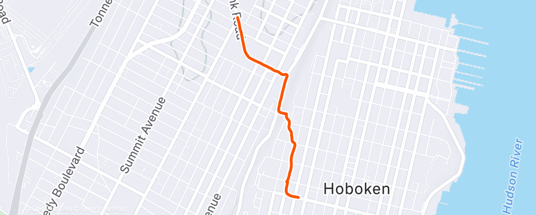 Map of the activity, Morning Walk