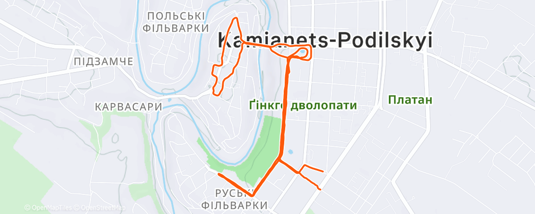 Карта физической активности (Afternoon Run)