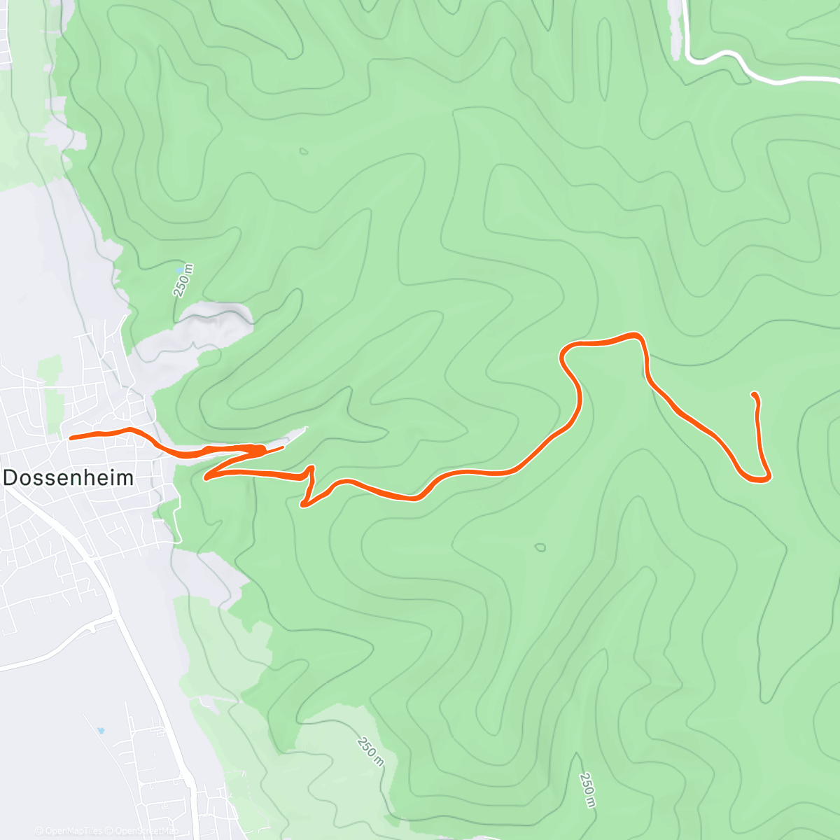 Карта физической активности (❌MAS  HmBattle 🎬 Day 7️⃣:
Der ✌️orletzte Zapfen❄️streich 🥶)