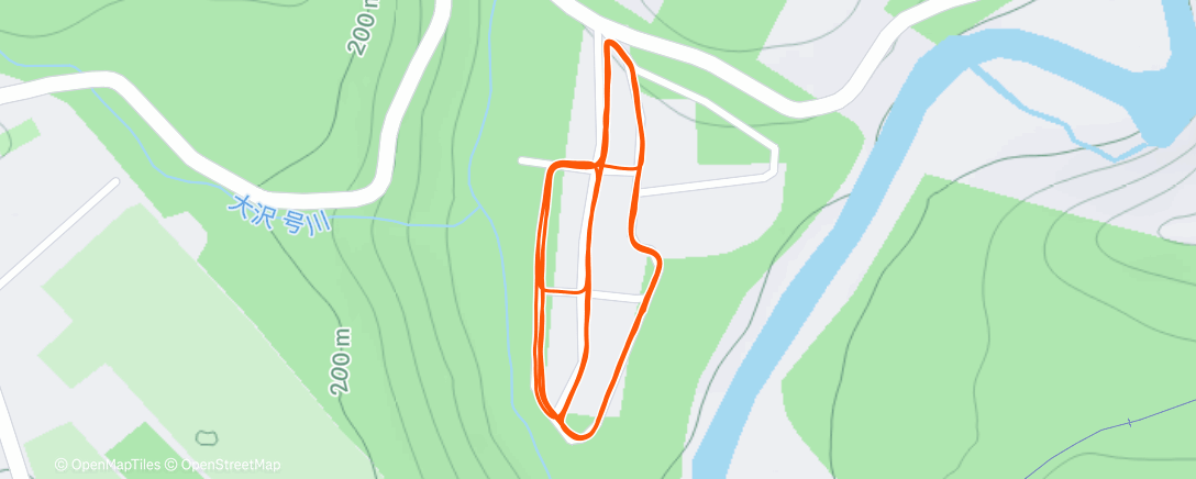 Карта физической активности (Afternoon Run)