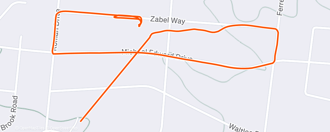 Карта физической активности (Afternoon Walk)